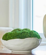 Diane James Home - MOSSY MOOD $410