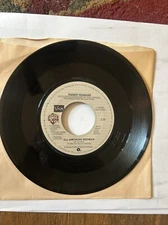 Country 45 Randy Howard - All-American Redneck / Original and Unedited Versions