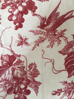 Antique French Botanical Bird Grape Insect Toile Cotton Fabric #2~  Dark Red