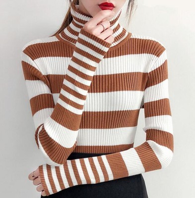 turtle wearing a turtleneck