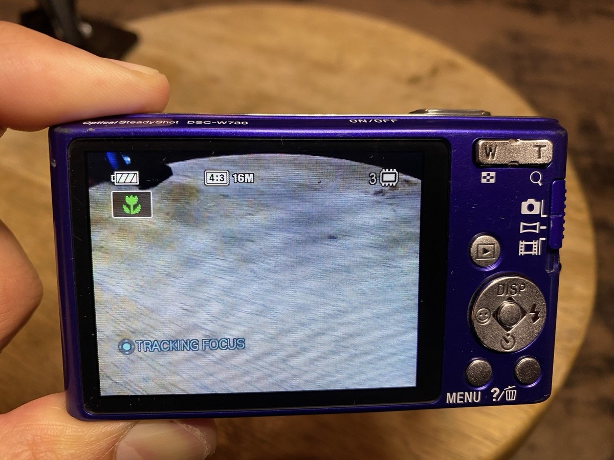 SONY Cyber-shot DSC-W730 Blue 16.1 MP Blue Digital Camera Tested