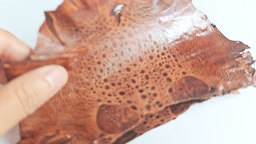 small brown GENUINE Bullfrog skin leather - 第 1 支影片,共 1 支