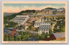 Vintage 1930s Linen Postcard Homestake Mining Co. Mills Lead SD
