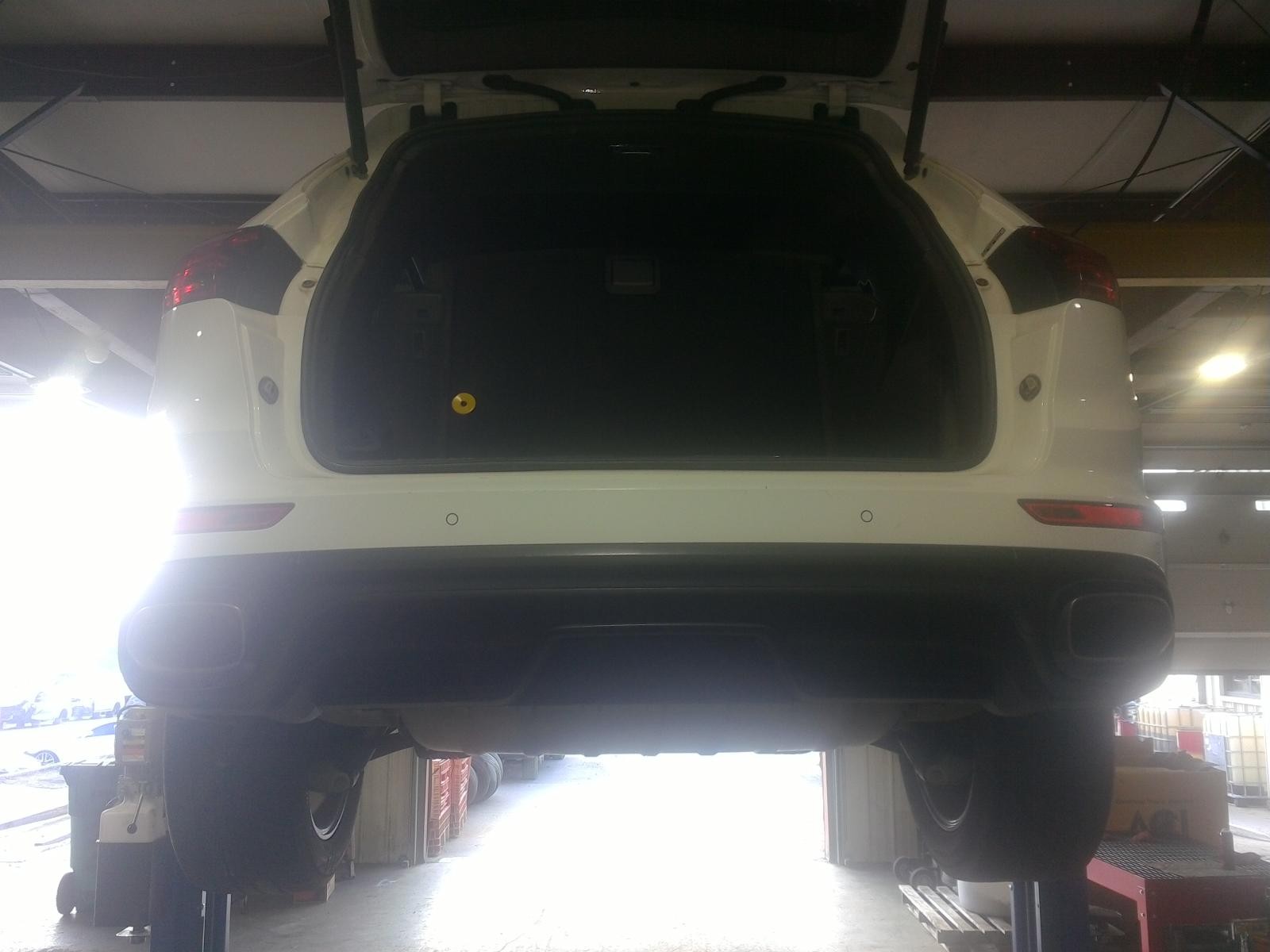 Picture 4