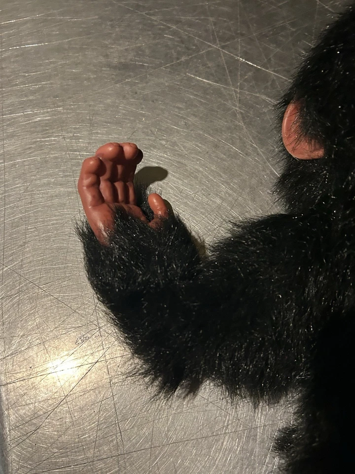 Senario Kobi Oki Mono Peluche Interactivo Chimpancé Probado Foto 3 de 4