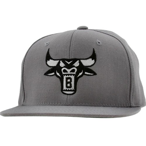 BAIT Bull Snapback Cap (silver / black 