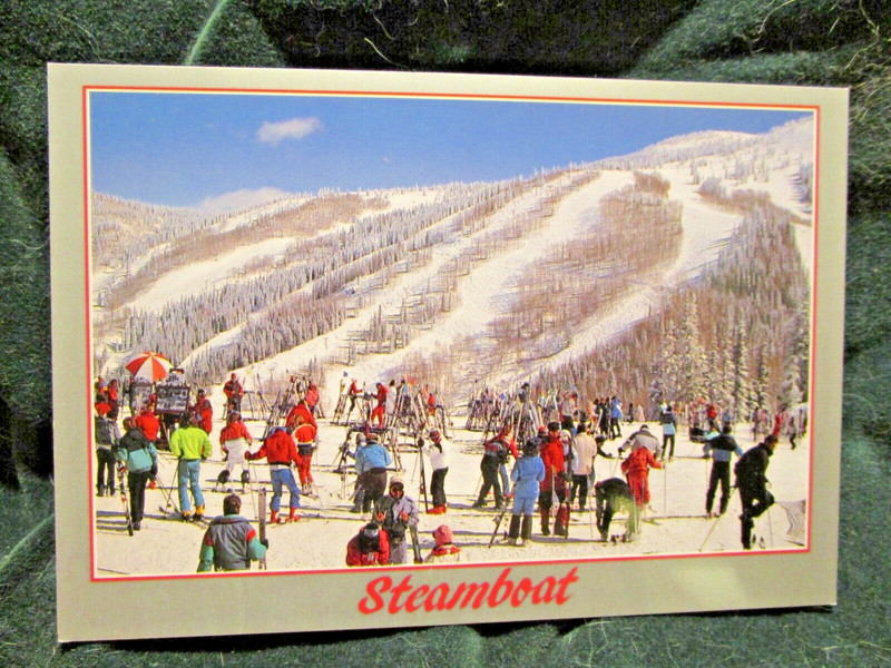 Steamboat Ski Area  Steamboat Springs, Thunderhead  Postcard 4X6 Chrome