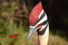 wooden walking stick, realistic woodpecker wood bird, hand carved cane