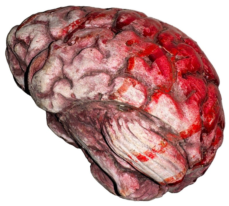 Vintage Halloween Bloody Brain Hand-Painted Haunted House Horror Decoration Prop