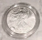 1999 American Eagle Dollar Uncirculated 1 oz .999 Silver, Littleton Pack