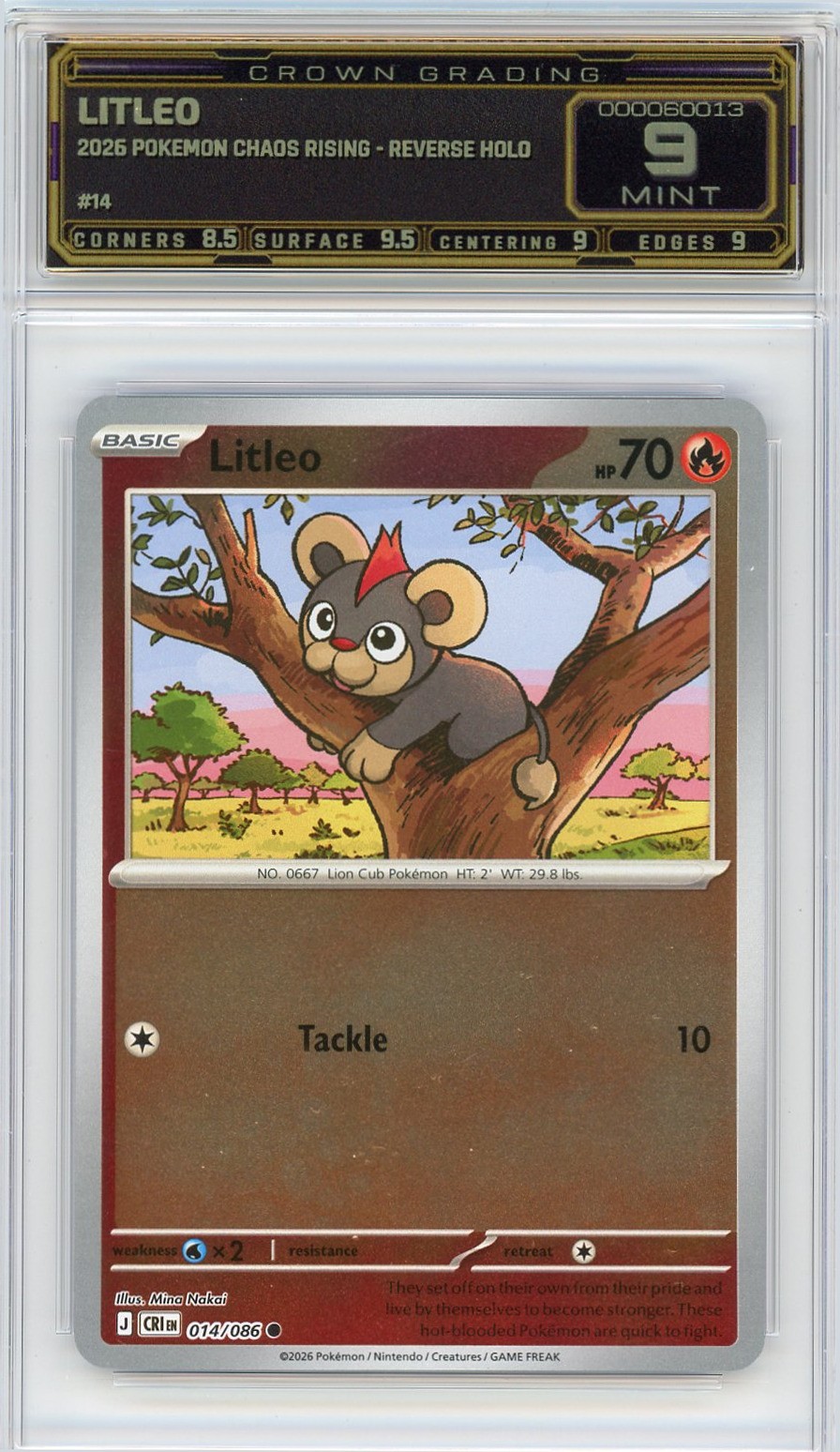 2026 Pokemon Litleo Chaos Rising - Reverse Holo #14 GRADED SLAB 9
