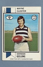 Vfl Cards Scanlens 1974 - Wayne Closter #8