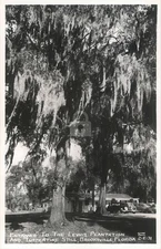 Lewis Plantation Turpentine Still Brooksville FL Cline RPPC Photo Postcard COPY