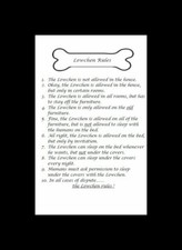 Lowchen "Rules" - CUSTOM MATTED - Dog Art Print : GIFT