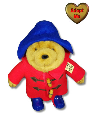 teddy bay