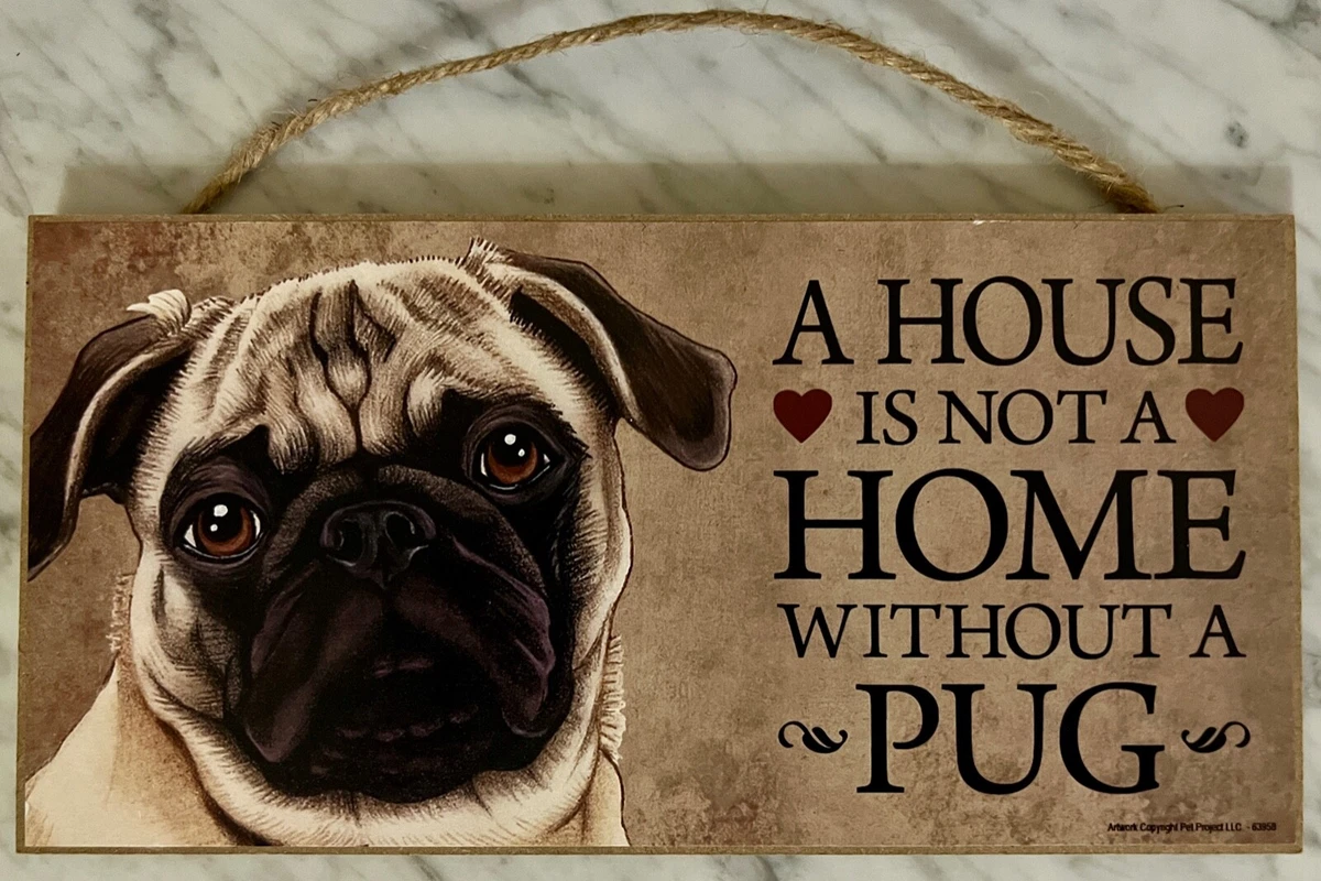A house is not a home without a dog 2025