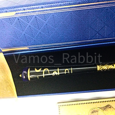 Harry Potter Collector's Edition Magical Wand Universal Studios