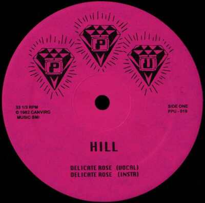 Hill / Roshell Anderson - Delicate Rose / Wild Dreams (12'')