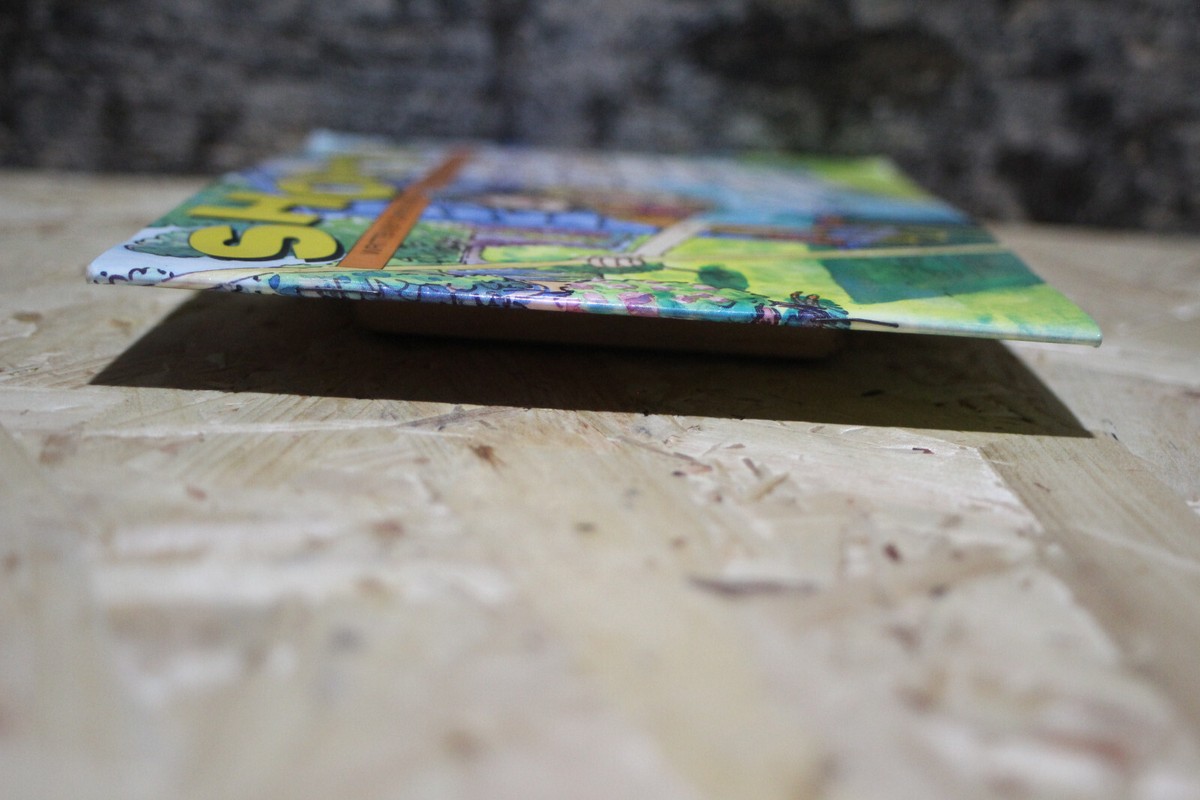 SHORTY (64410) (Literacy Links Picture Books), Rule Learning Book