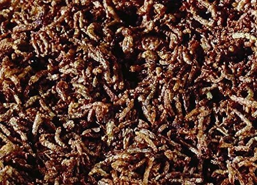 Sera FD Rote Mückenlarven Nature 250 ml - Der Leckerbissen für Jungfische und - Bild 2 von 4