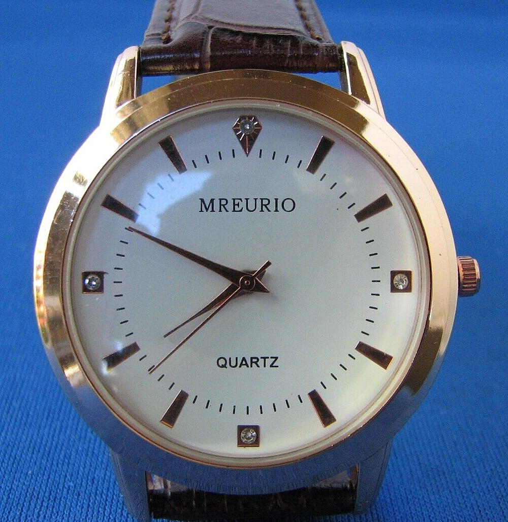 Stainless Steel Mreurio Watch In Mail Stainless Steel Mercurio
