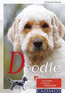Doodle: Charakter, Erziehung, Gesundheit von Werner Andreas | Buch | Zustand gut