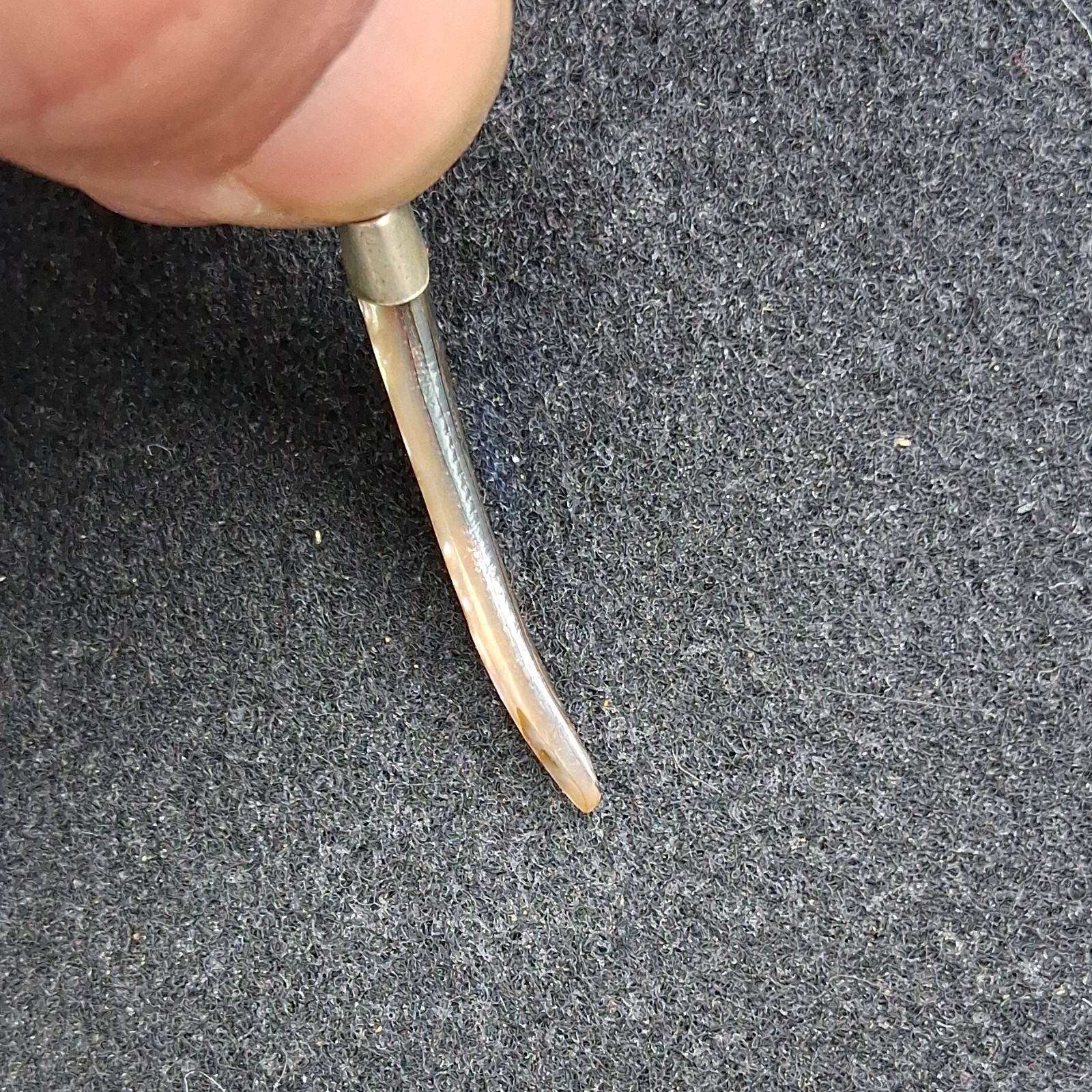 Abalone Horn-Shaped Multicolor Shell Pendant Amul… - image 11