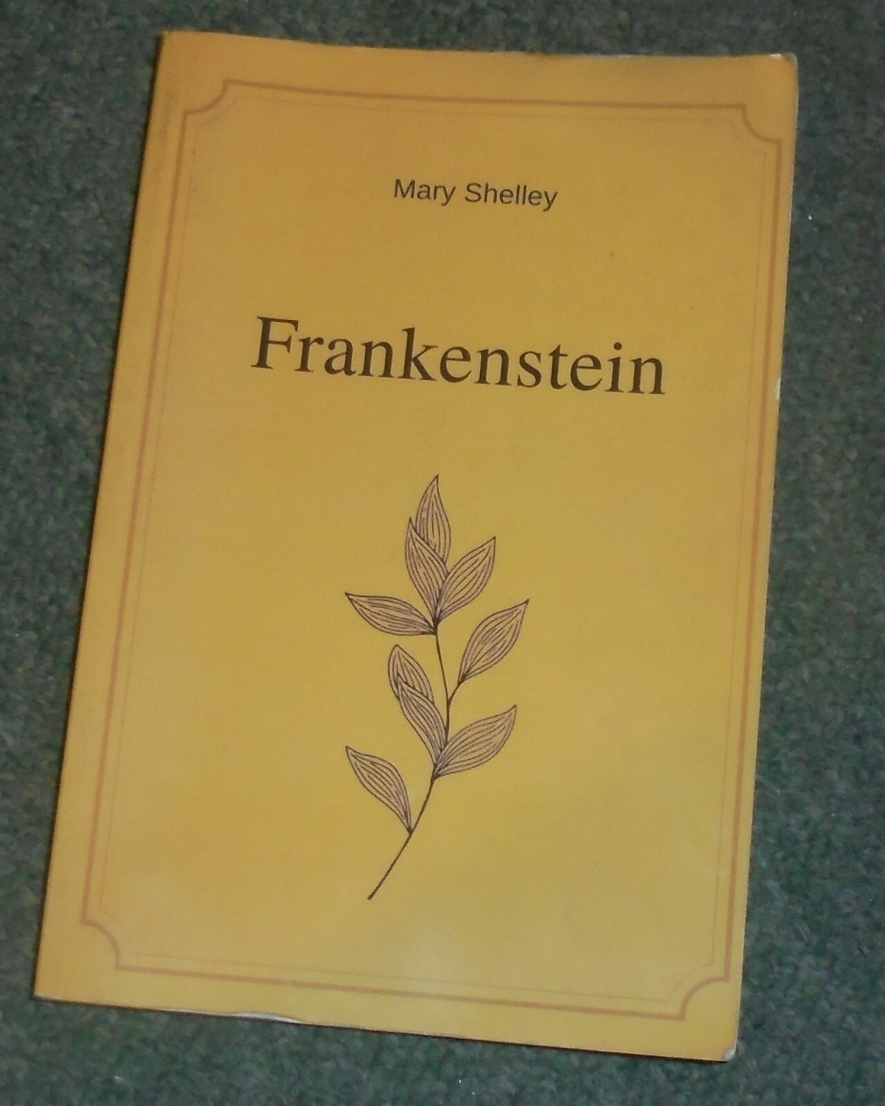 Frankenstein by Mary Shelley, Mary Shelley