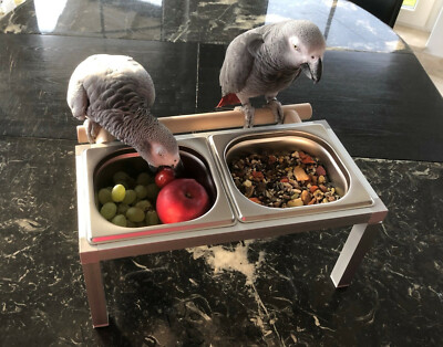 5 Stück Papageien Futterbecher - Hängende Schüsseln Für Vogelkäfig