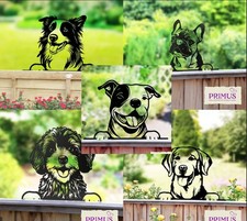 Metal Peeking Dog Pet Fence Wall Silhouettes – 30cm |  Many Variations!