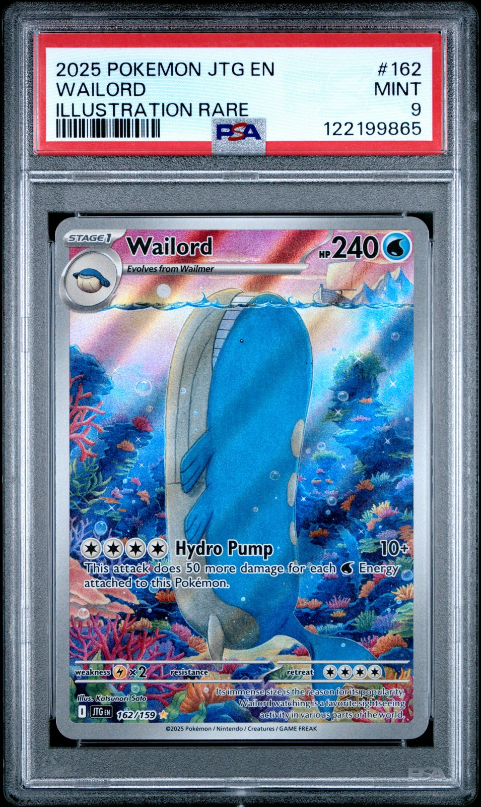 Wailord #162