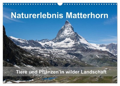 Claudia Pelzer | Naturerlebnis Matterhorn (Wandkalender 2025 DIN A3 quer),...