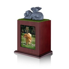 Pet Cremation Urn for Large Dogs, Ashes Photo Box, Wood Keepsake Memorial Urn