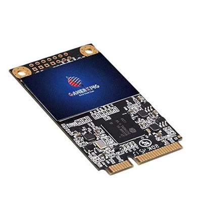 GAMERKING SSD msata 512GB Internal Solid State Drive High 512GB, mSATA