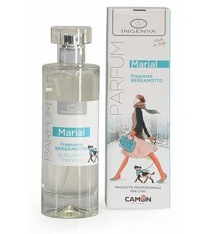 Foto 1 di 1