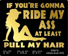 If You're Gonna Ride My Ass At Least Pull My Hair Decal Funny vinyl sticker