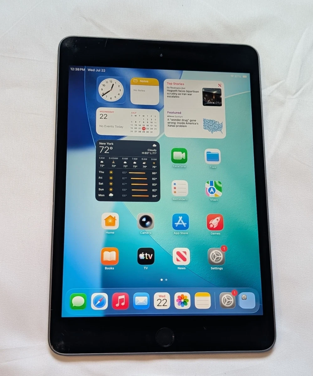 Apple iPad Mini (5th Generation) 256GB for sale - eBay