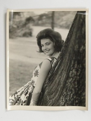 Sheila Forrest Miss TVT 1965 Schönheitswettbewerb Norman McHarg Liverpool