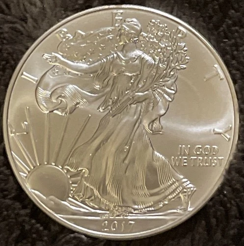 10 0z of .999 Silver - (10) 1 Oz 2017 Silver American Eagles BU - In Mint Tube