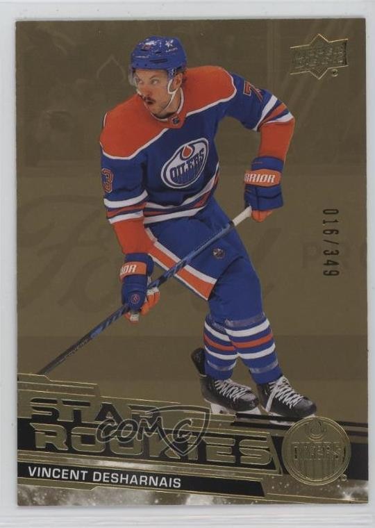 2023 Upper Deck Star Rookies Box Set Gold 16/349 Vincent Desharnais #17 RC 1i5d