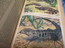 Das Tierreich  III  , Sammelbilderalbum , VOSS  Kunstbilder , Margarine Werbung 