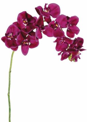 Artificial Orchid Flowers Color Fuchsia Artificial Orchid Flowers