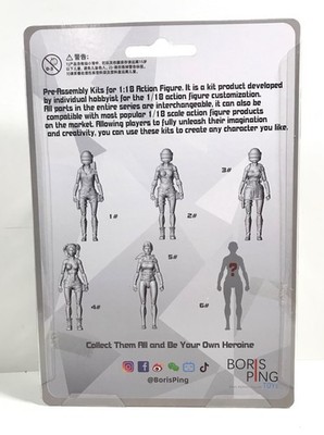 【未開封】AK 18 Pre Assembly KITS 1/18 ジル Boris Ping AK18 #3 4