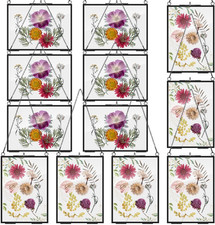 12 Pack Pressed Flowers Glass Frames, 5 X 7 Inch Brass Hanging Floating Frame wi