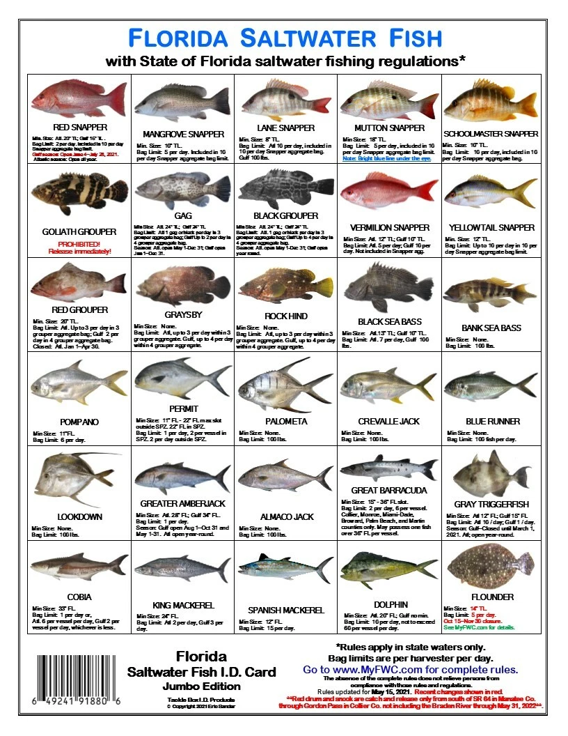 Florida State Saltwater Fish