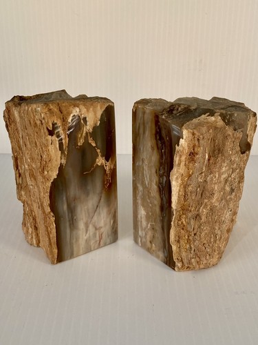 Pair Bookends Polished Petrified Wood Gorgeous Blue Gray Grain Home Office Decor