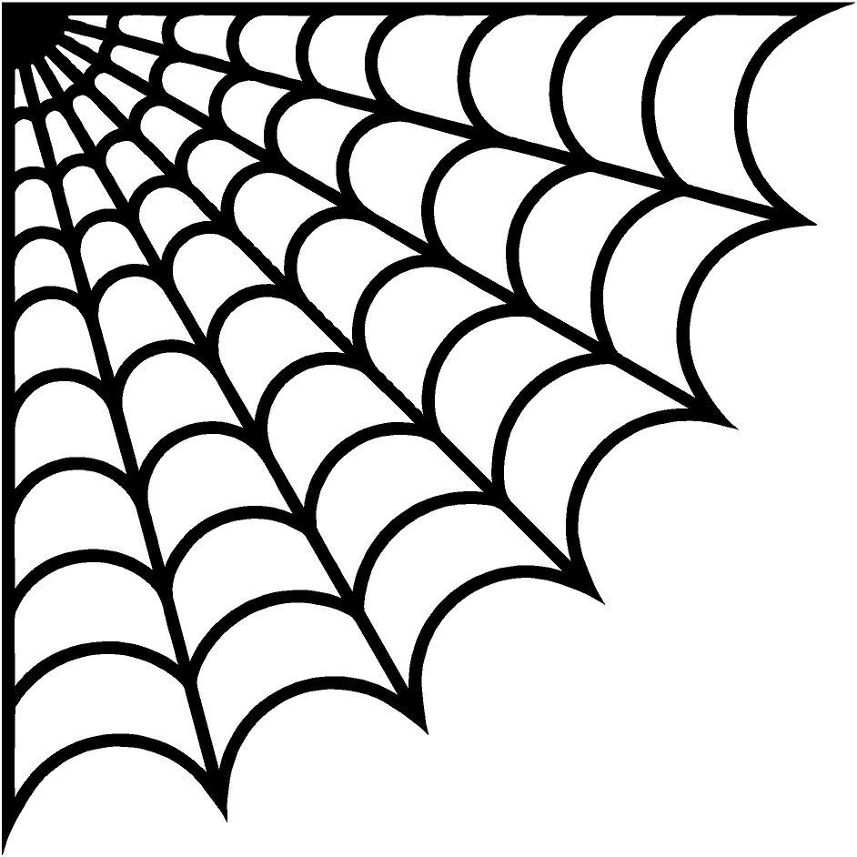 Рисунок паутина пнг