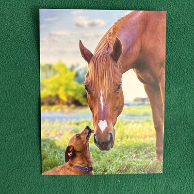 LIQUIDATING-Leanin  Tree Blank Greeting Card (Animal Best Friends)
