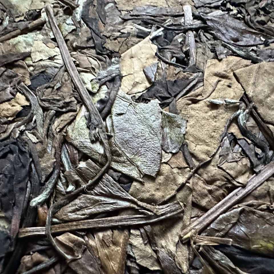 2003 Shoumei White Tea Cake 350g Taimu Mountain Private Reserve 私人订制 老寿眉 Weißtee - Bild 3 von 4