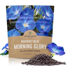 Morning Glory Seeds Heavenly Blue - Large 1 Ounce Packet - Over 1,000 Flower ... 197.44 per gallon